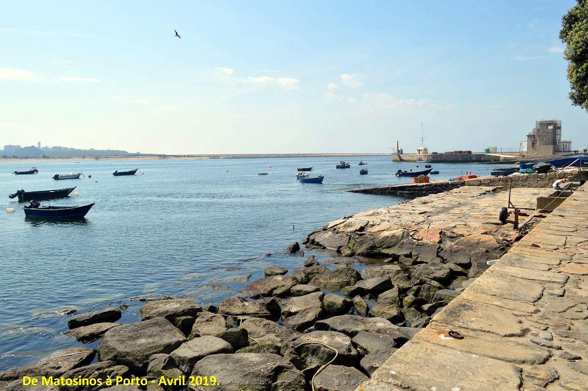 0799 - De Matosinhos a Porto.JPG